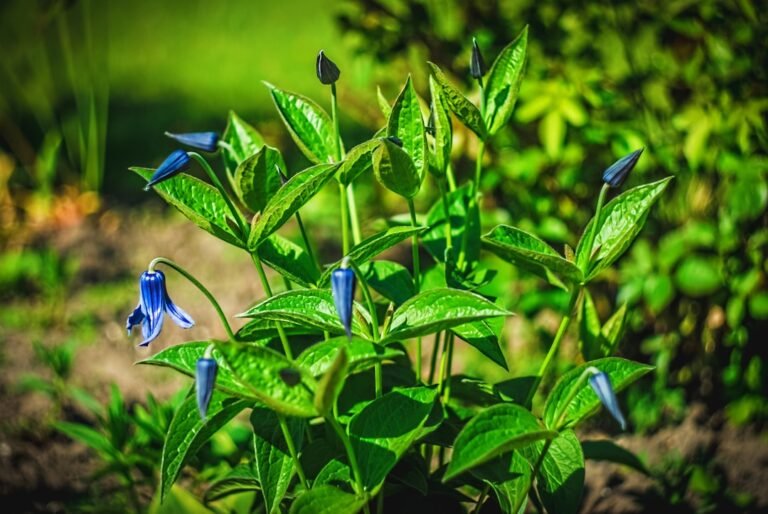 découvrez l'art de la détente à la maison avec nos conseils et astuces pour créer un espace relaxant. transformez votre foyer en oasis de paix et de sérénité pour échapper au stress quotidien.